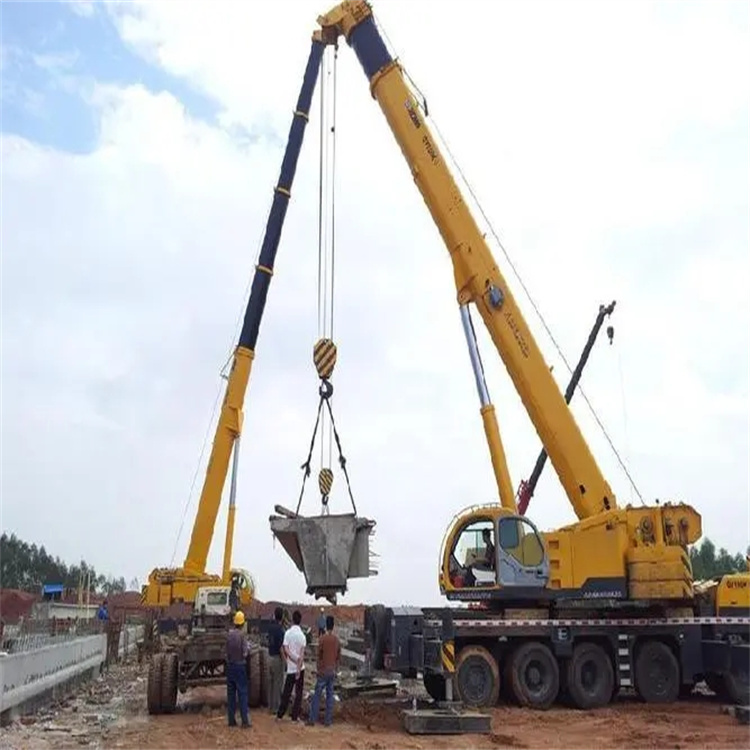 长安镇小型吊机出租电话|厂房设备吊装方案|24小时服务覆盖